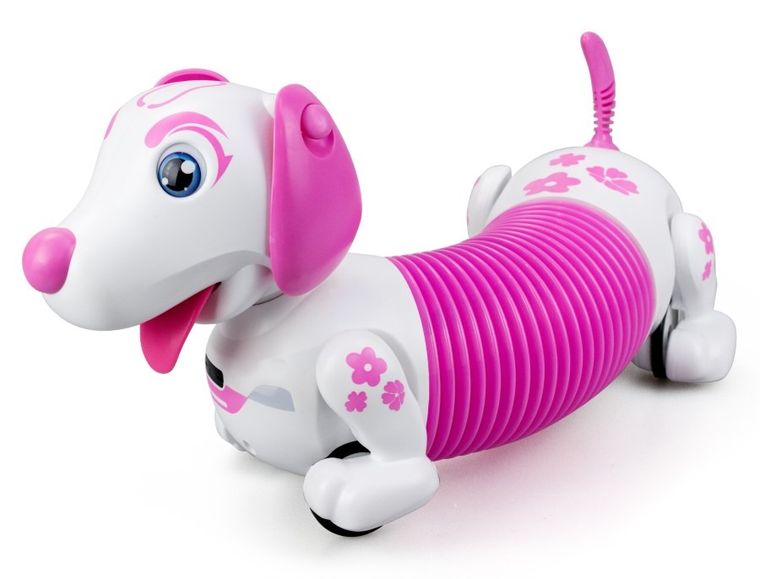 Silverlit, Robo Dash D, pies robot interaktywny