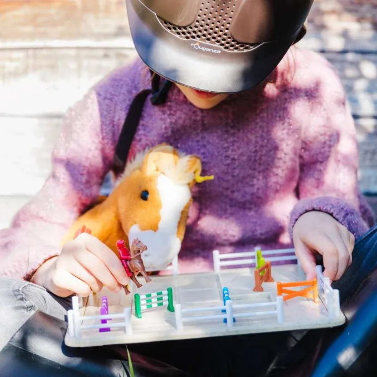 Smart Games, Akademia Jazdy Konnej, gra logiczna