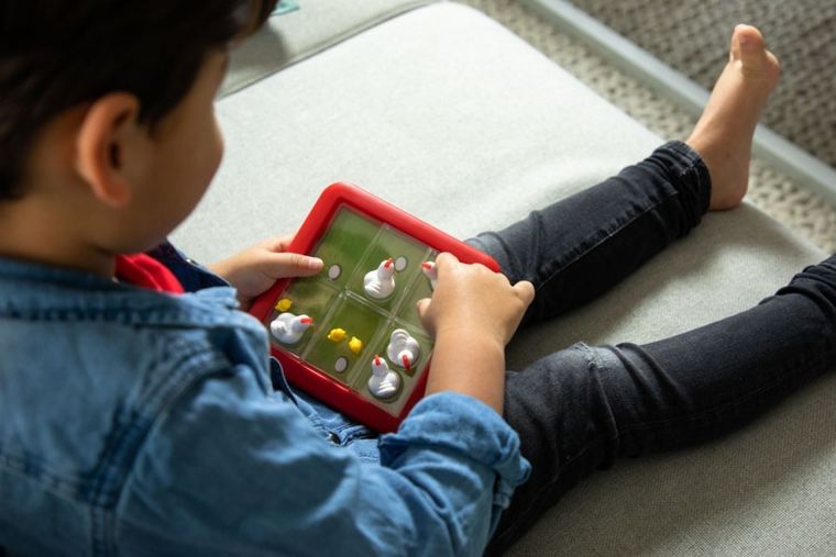 Smart Games, Chicken Shuffle Jr., wersja angielska, gra logiczna