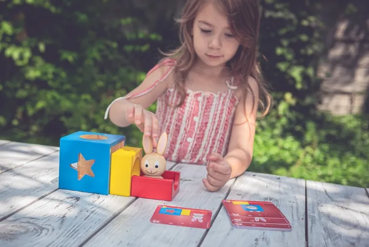 Smart Games, Króliczek, gra logiczna