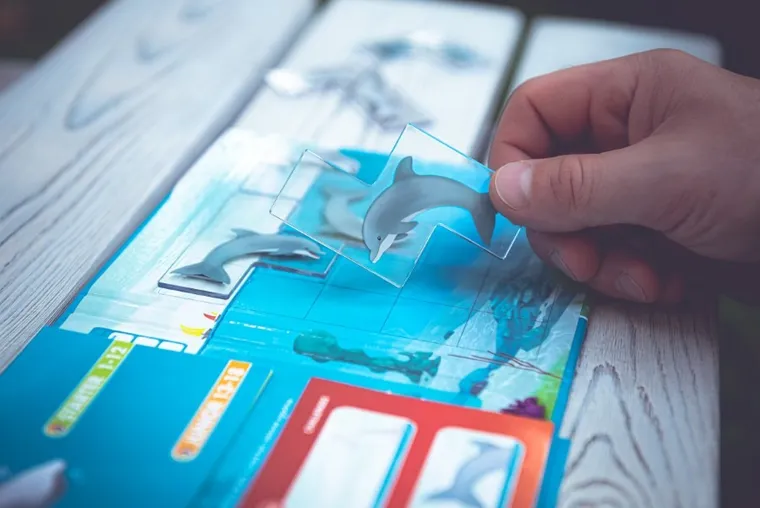 Smart Games, Zwinne Delfinki, gra logiczna