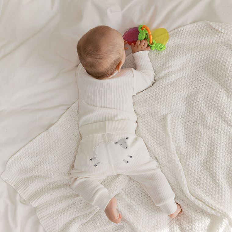 Smiki, Owoce, gryzak