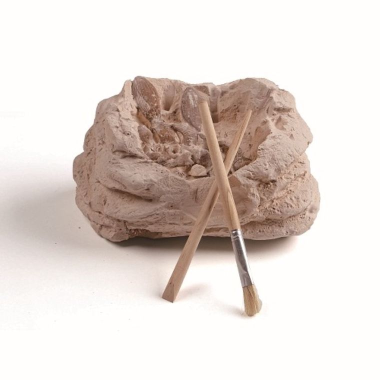 Smiki, Wykopaliska, czaszka dinozaura, zestaw naukowy