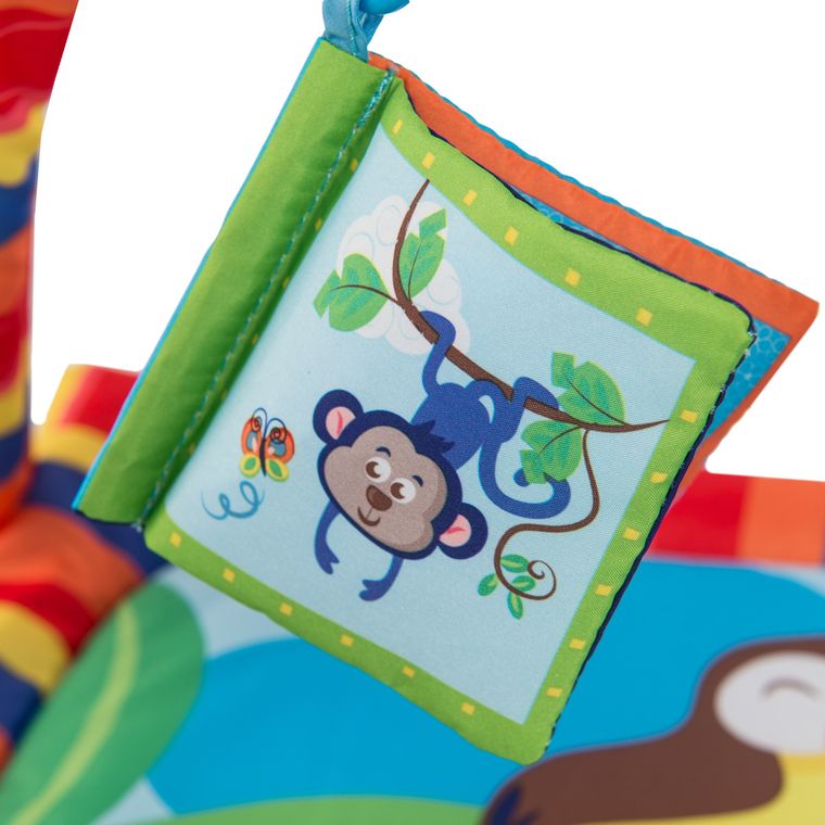 Smiki, Zoo, mata edukacyjna