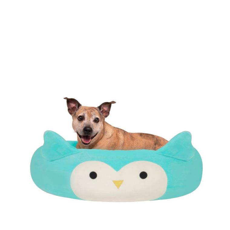 Squishmallows, legowisko dla psa, rozmiar M, 60 cm, Winston the Owl