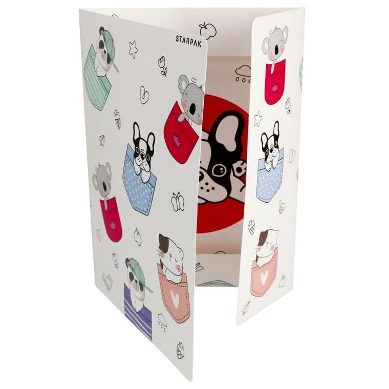 Starpak, teczka z gumką A4, minisy, 1 szt.