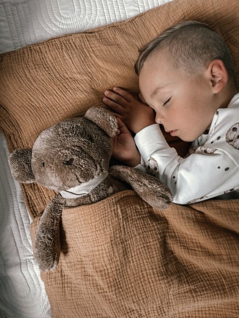 Szumisie, Miś dla starszaków, maskotka z mechanizmem szumiącym 5w1, brązowy, 36 cm