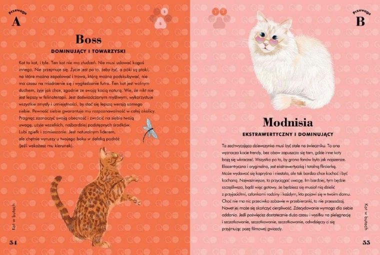 Test osobowości mruczka