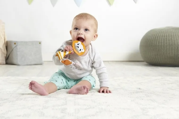 Tiny Love, Tiny Smarts, Lew Leonardo, grzechotka gryzak