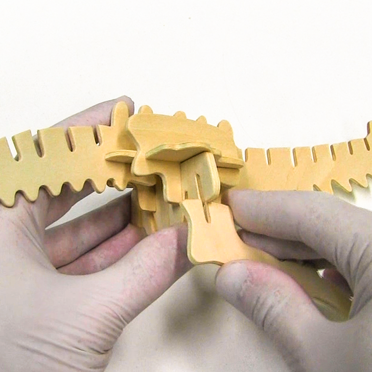 Trefl, Science4You, Zagłada dinozaurów, zestaw L