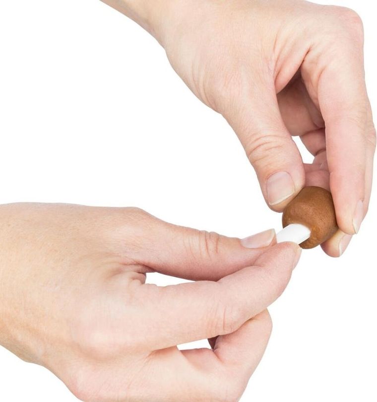 Trixie, przysmak do podawania tabletek dla psa, 100g