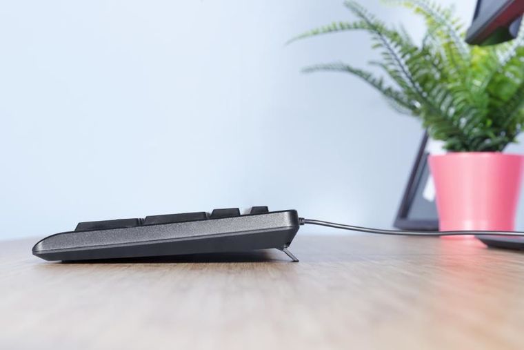 Trust, Primo Set, zestaw, klawiatura, mysz