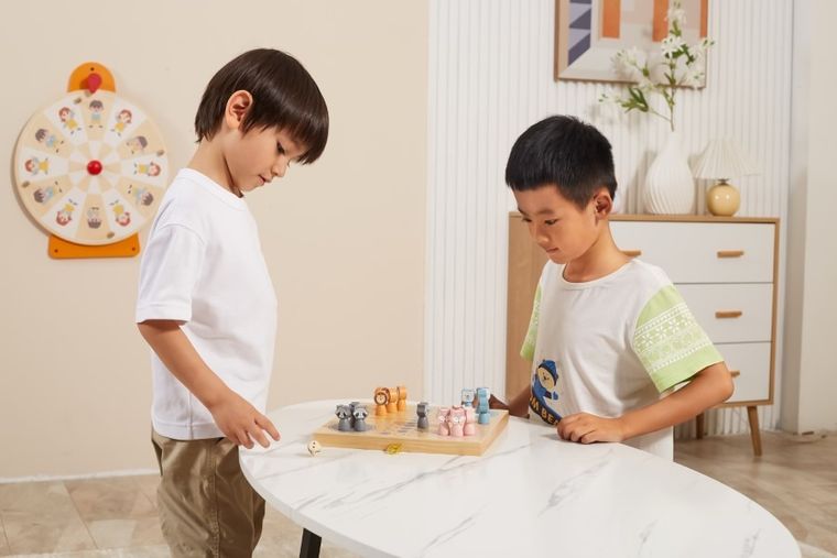 Viga, PolarB, Gra ludo, chińczyk, gra logiczna