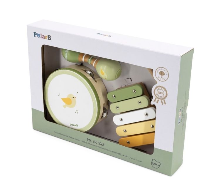 Viga, PolarB, zestaw instrumentów muzycznch, ptak