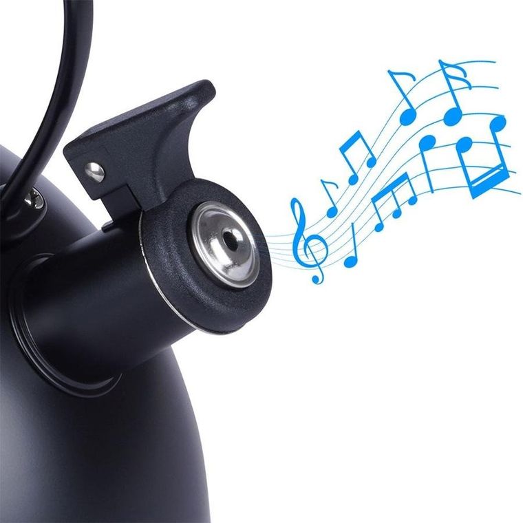 Vilde, czajnik z gwizdkiem, stalowy, czarny, 2.5l