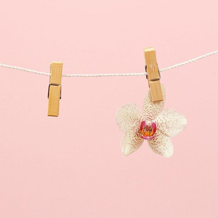 Vilde, klamerki drewniane bambusowe, 60 szt.