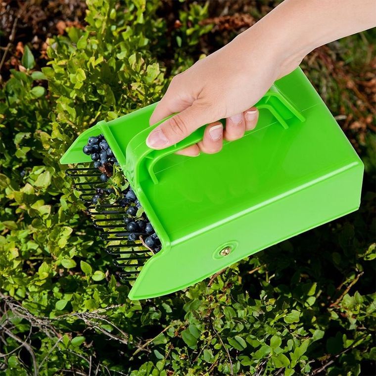 Vilde, zbieraczka, do jagód, 22-14-13,5 cm