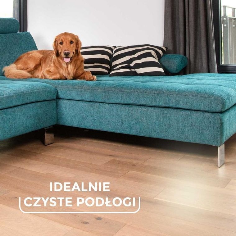 Vileda, szczotka do zamiatania sierści i włosów, Always Clean Pet Pro