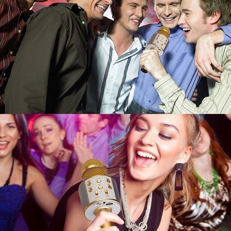 W&K, mikrofon zabawkowy, srebrny