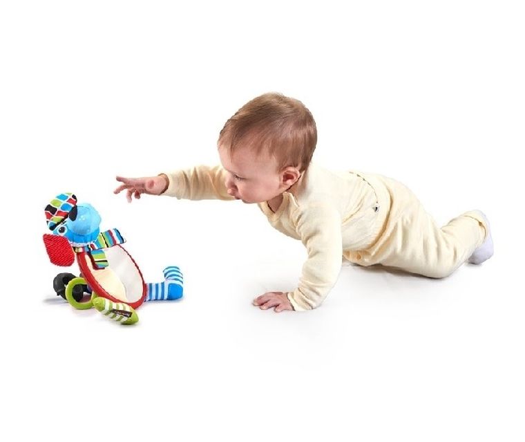 Yookidoo, Pies, Moje Pierwsze Lusterko