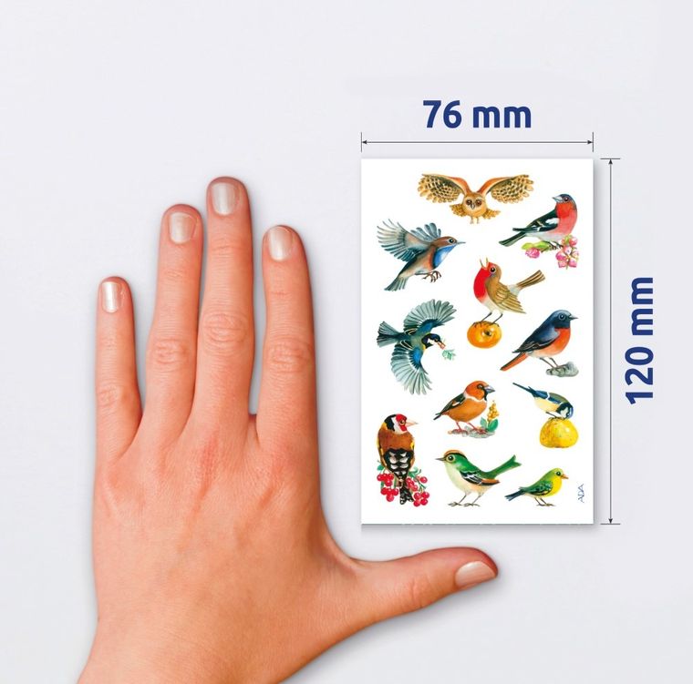 Z-Design, naklejki, ptaki