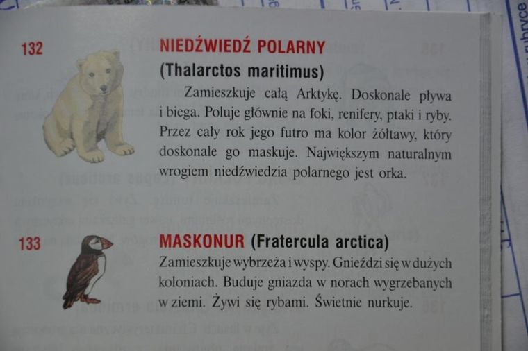 Zachem, interaktywny globus zoo, średnica 22 cm