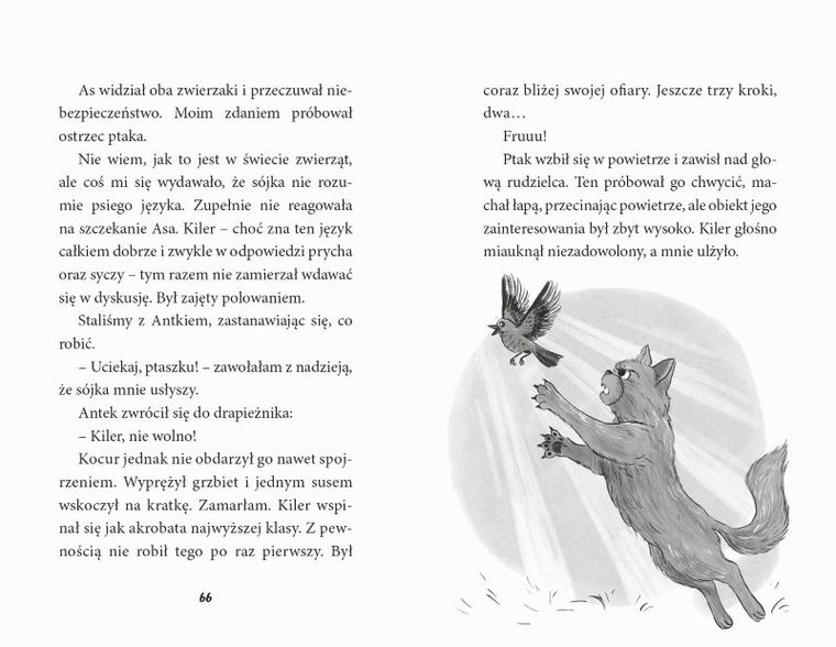 Zagadka świątecznej gwiazdy. PAKA z domku na drzewie