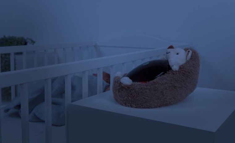 Zazu, Henry, projektor zachodzącego słońca, jeż