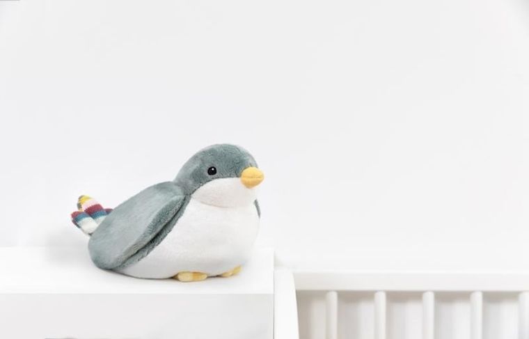 Zazu, Shally, projektor zachodzącego słońca, ptaszek