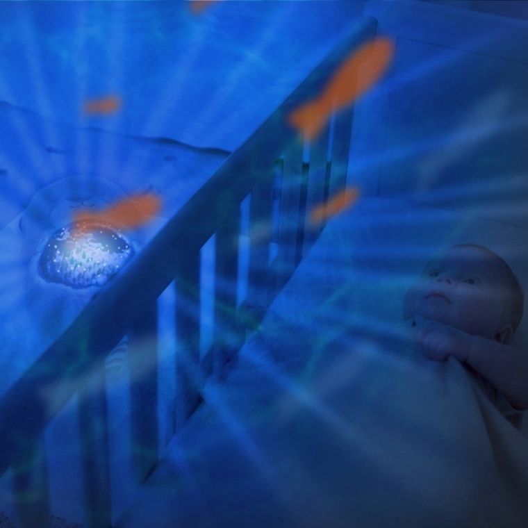 Zazu, Wydra Otto, projektor oceanu