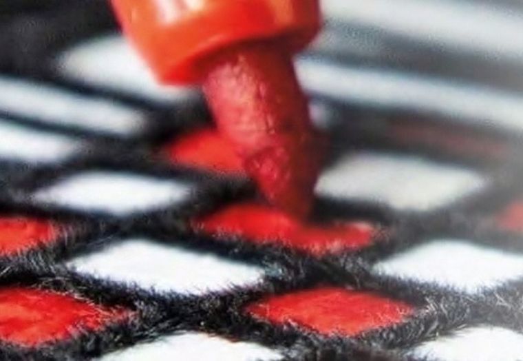 Zebra. Kolorowanka welwetowa, 47-35 cm