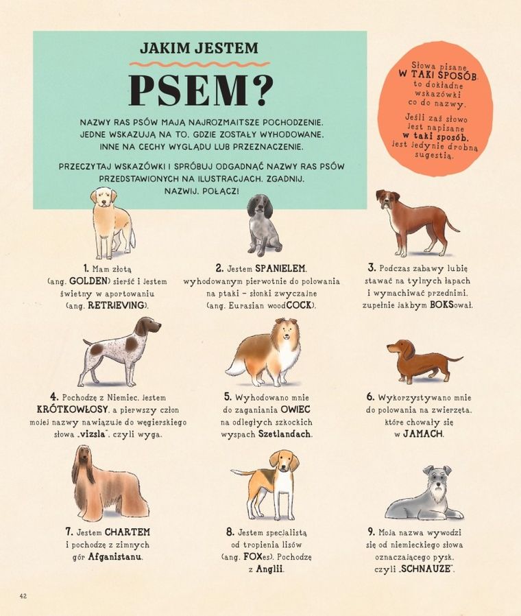 Zgadnij. Nazwij. Połącz!