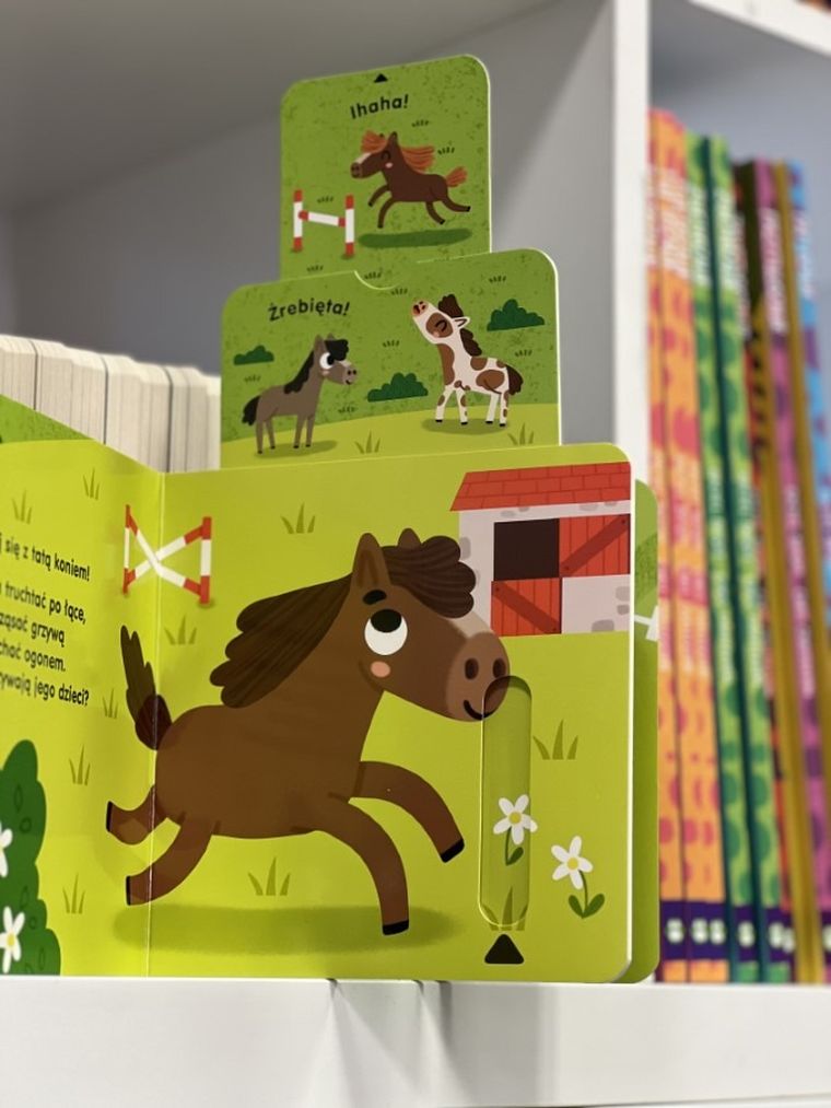 Znajdź mnie! Zwierzęta na wsi