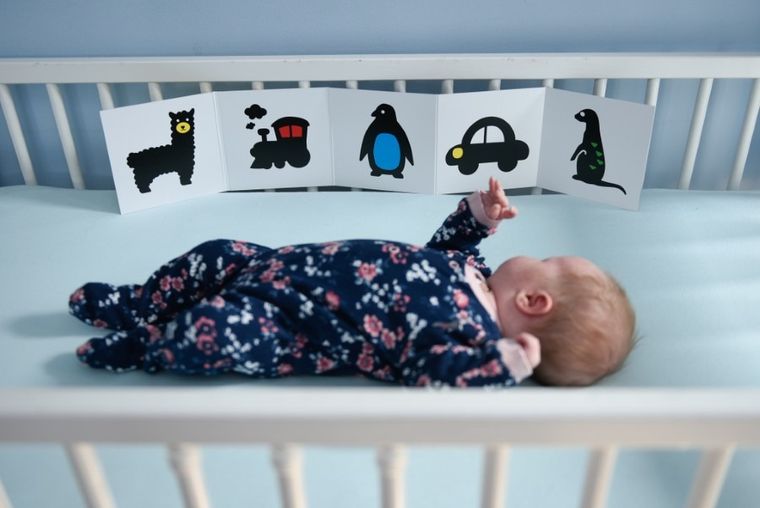 Zu&Berry. Moje pierwsze kolory. Książeczka kontrastowa