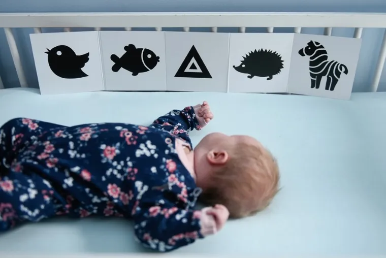 Zu&Berry. Moje pierwsze kształty. Książeczka kontrastowa