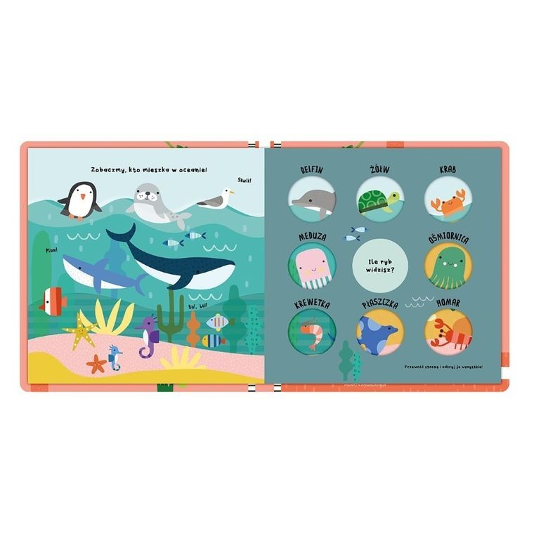 Zwierzęta duże i małe. Odwróć i poznaj