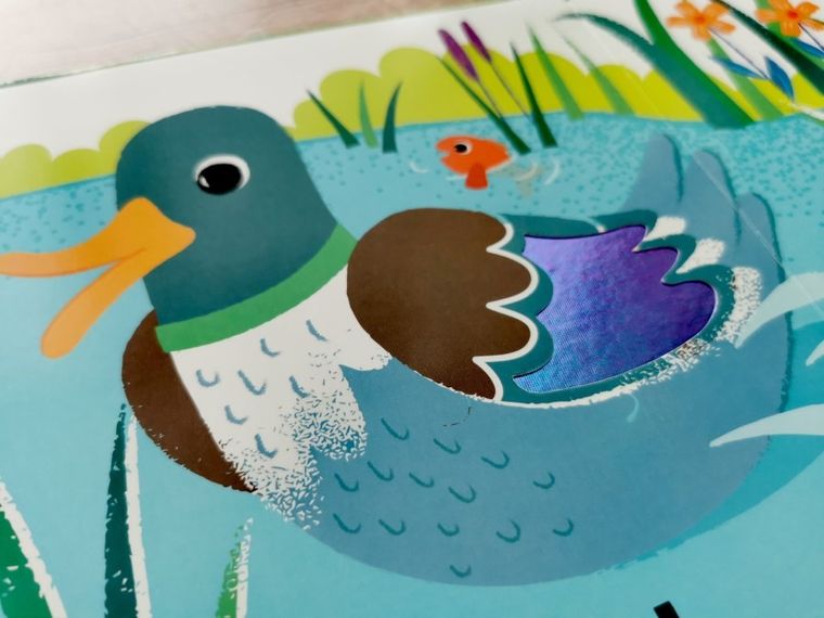 Akademia Mądrego Dziecka. Dotykam, zgaduję. Zwierzęta na wsi