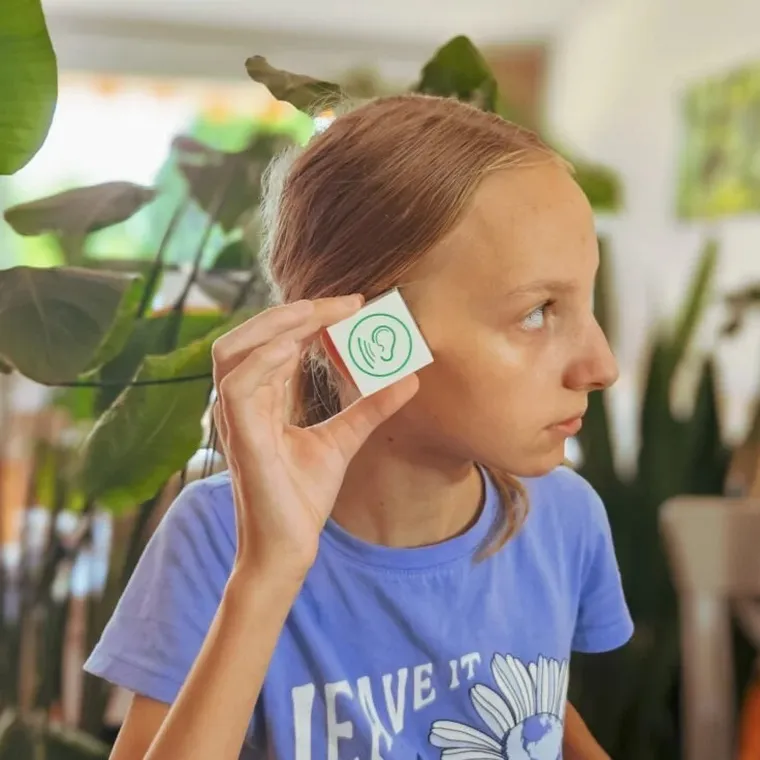 Alexander, Sowa Mądra Głowa, Pamięć dźwiękowa, gra edukacyjna