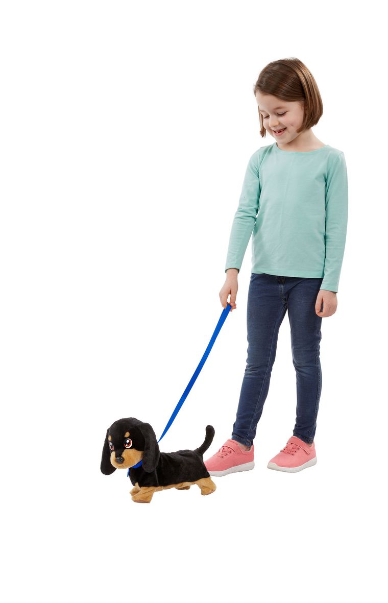 AniMagic, Piesek Waggles, zabawka interaktywna