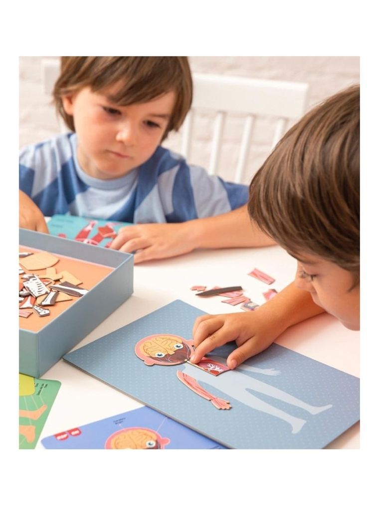 Apli Kids, magnetyczna układanka, ciało człowieka