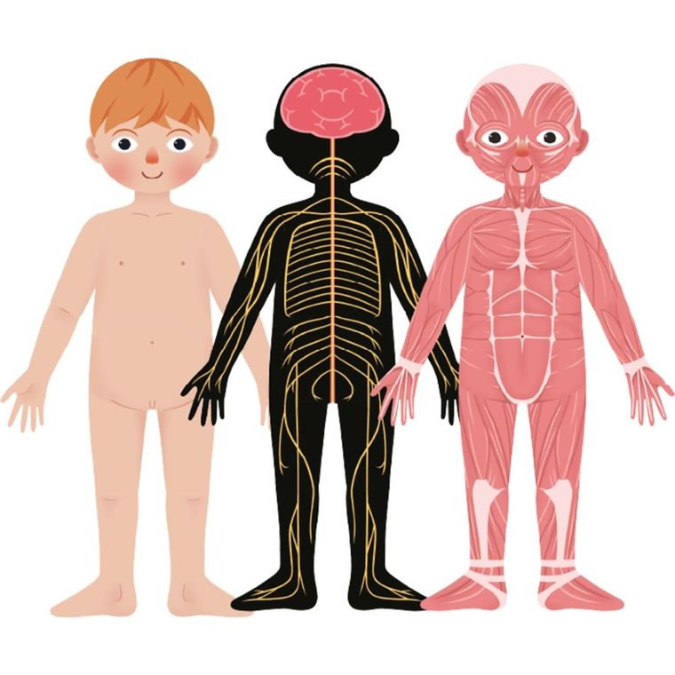 Askato, Genialny dzieciak, Moje ciało, puzzle magnetyczne, 108 elementów