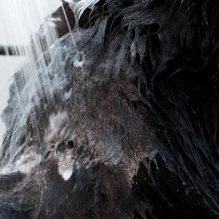 Attitude, bezzapachowy szampon do mycia zwierząt, 473 ml