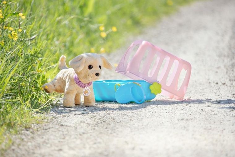 Baby Born, My dog Lucky, piesek na smyczy, maskotka z akcesoriami