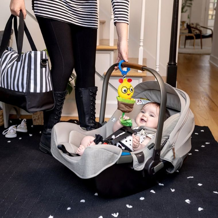Baby Einstein, Cal-a-Puller, zabawka sensoryczna z zawieszką