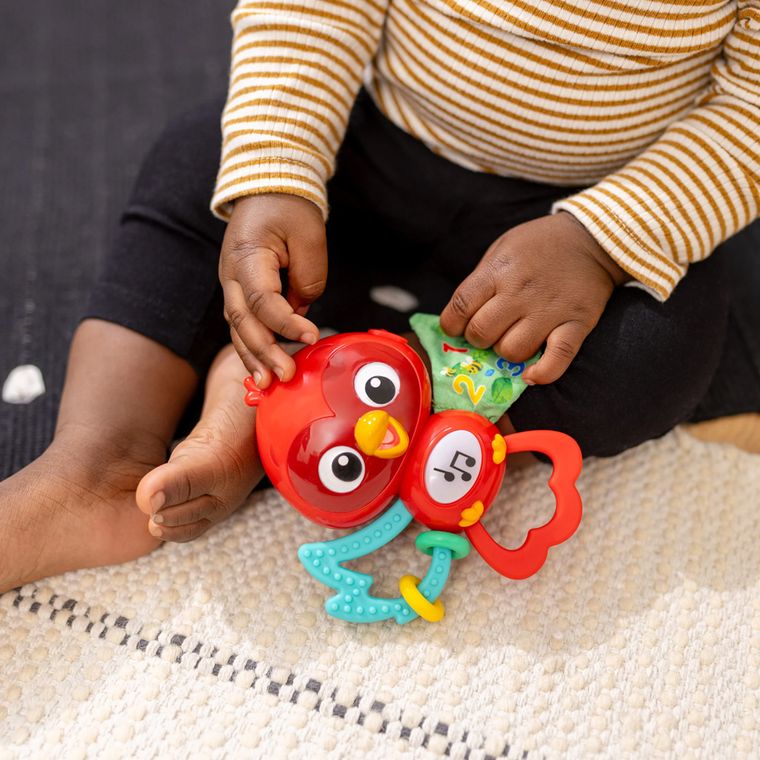 Baby Einstein, Roxy, sensoryczna zabawka interaktywna