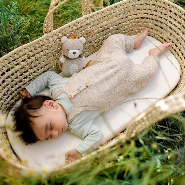 BabyFehn, Natura 2, maskotka z pozytywką, miś