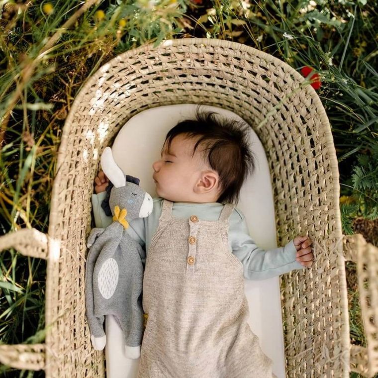 BabyFehn, Natura 2, Osiołek, pierwsza maskotka