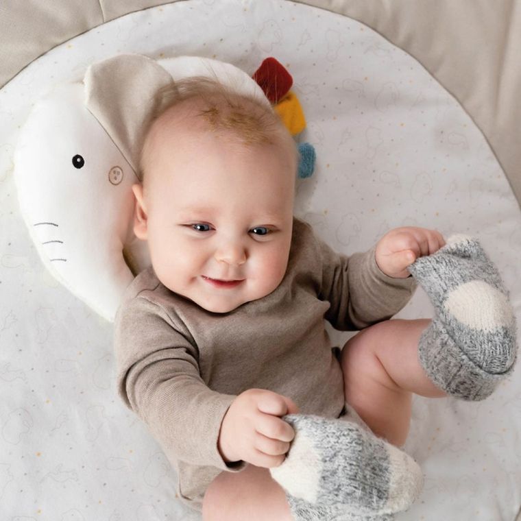 BabyFehn, Natura, mata do zabawy, Słoń