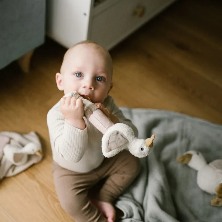 BabyOno, Goose Zoe, piszczek z gryzakiem