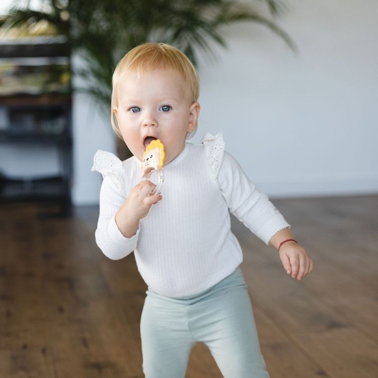 BabyOno, grzechotka, lew